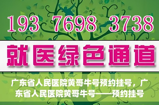 广东省人民医院黄哥牛号预约挂号，广东省人民医院黄哥牛号——预约挂号攻略