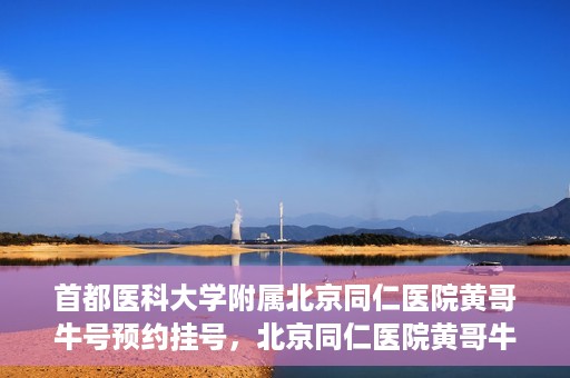 首都医科大学附属北京同仁医院黄哥牛号预约挂号，北京同仁医院黄哥牛号预约挂号攻略，专业医疗服务的便捷通道