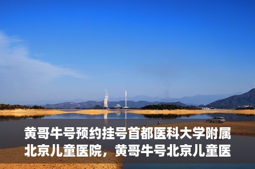 黄哥牛号预约挂号首都医科大学附属北京儿童医院，黄哥牛号北京儿童医院预约挂号攻略，轻松挂号首都医科大学附属北京儿童医院