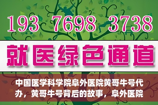 中国医学科学院阜外医院黄哥牛号代办，黄哥牛号背后的故事，阜外医院名医揭秘与医疗服务的深度解读