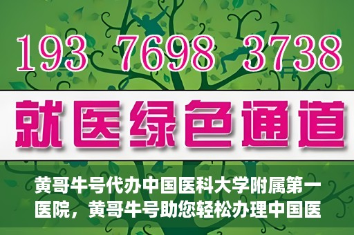 黄哥牛号代办中国医科大学附属第一医院，黄哥牛号助您轻松办理中国医科大学附属第一医院事务。
