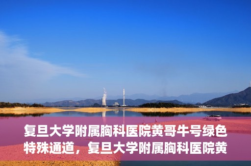 复旦大学附属胸科医院黄哥牛号绿色特殊通道，复旦大学附属胸科医院黄哥牛号，绿色特殊通道开启健康之门