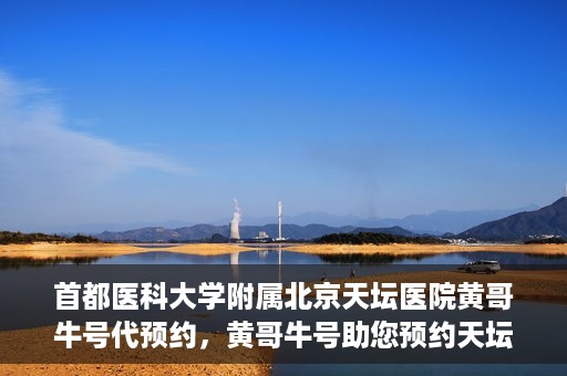 首都医科大学附属北京天坛医院黄哥牛号代预约，黄哥牛号助您预约天坛医院——权威医疗预约服务体验