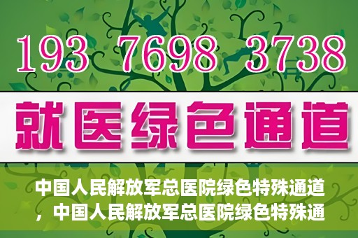 中国人民解放军总医院绿色特殊通道，中国人民解放军总医院绿色特殊通道，医疗服务的紧急通道与人文关怀的完美结合