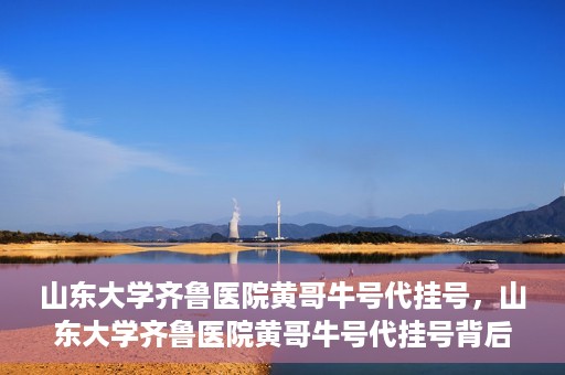 山东大学齐鲁医院黄哥牛号代挂号，山东大学齐鲁医院黄哥牛号代挂号背后的故事与探索