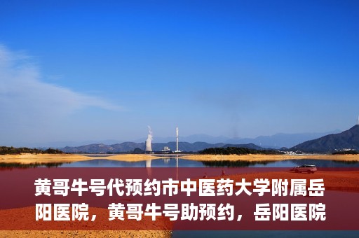 黄哥牛号代预约市中医药大学附属岳阳医院，黄哥牛号助预约，岳阳医院中医魅力体验之旅
