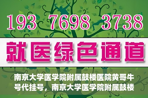 南京大学医学院附属鼓楼医院黄哥牛号代挂号，南京大学医学院附属鼓楼医院黄哥牛号代挂号解析，专业解读与预约攻略