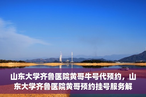 山东大学齐鲁医院黄哥牛号代预约，山东大学齐鲁医院黄哥预约挂号服务解析