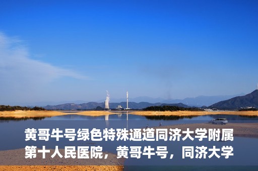 黄哥牛号绿色特殊通道同济大学附属第十人民医院，黄哥牛号，同济大学附属第十人民医院开启绿色特殊通道，助力健康前行