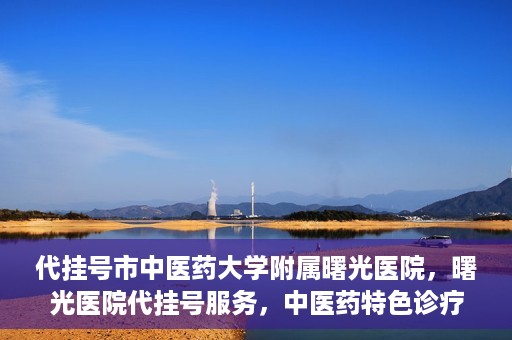 代挂号市中医药大学附属曙光医院，曙光医院代挂号服务，中医药特色诊疗体验之旅