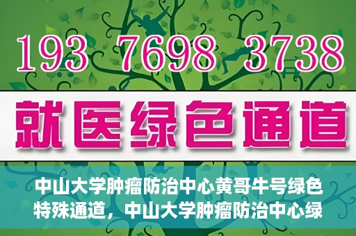 中山大学肿瘤防治中心黄哥牛号绿色特殊通道，中山大学肿瘤防治中心绿色特殊通道——黄哥牛号的守护力量