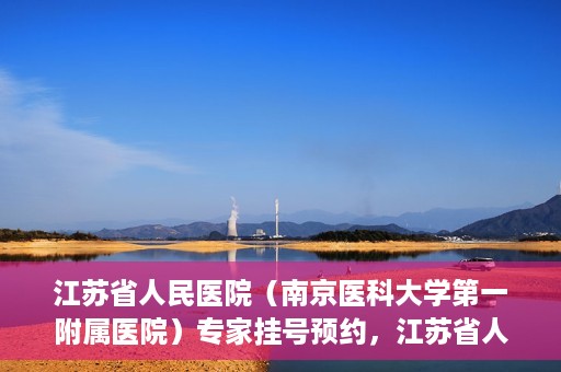 江苏省人民医院（南京医科大学第一附属医院）专家挂号预约，江苏省人民医院专家挂号预约攻略，一站式解决您的就医需求