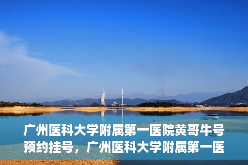 广州医科大学附属第一医院黄哥牛号预约挂号，广州医科大学附属第一医院黄哥名医牛号预约挂号攻略