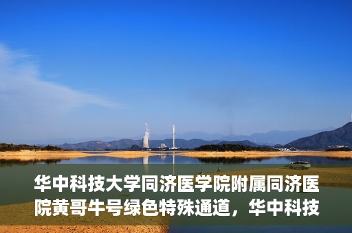 华中科技大学同济医学院附属同济医院黄哥牛号绿色特殊通道，华中科技大学同济医院黄哥牛号绿色特殊通道揭秘