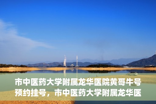 市中医药大学附属龙华医院黄哥牛号预约挂号，市中医药大学附属龙华医院黄哥牛号预约挂号攻略揭秘
