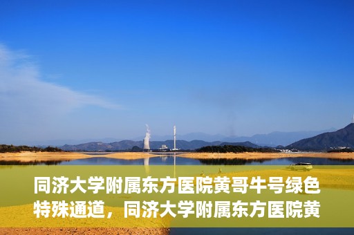 同济大学附属东方医院黄哥牛号绿色特殊通道，同济大学附属东方医院黄哥牛号，绿色特殊通道开启健康之门