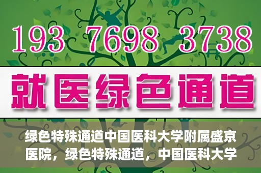 绿色特殊通道中国医科大学附属盛京医院，绿色特殊通道，中国医科大学附属盛京医院的探索与实践