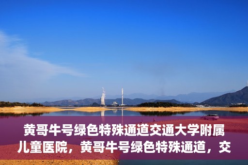 黄哥牛号绿色特殊通道交通大学附属儿童医院，黄哥牛号绿色特殊通道，交通大学附属儿童医院的探索与实践