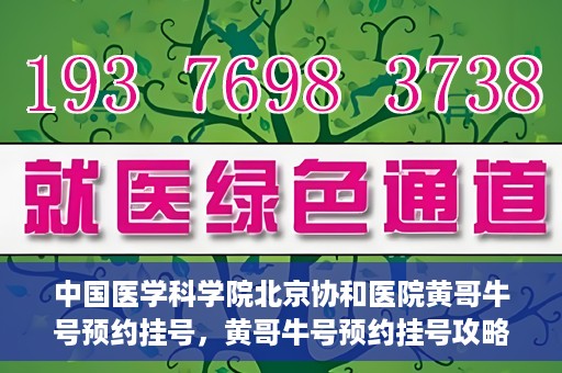 中国医学科学院北京协和医院黄哥牛号预约挂号，黄哥牛号预约挂号攻略，中国医学科学院北京协和医院就医指南