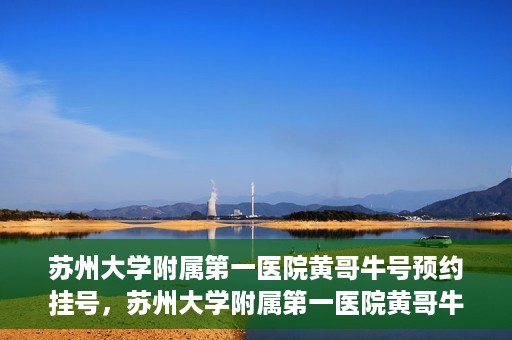 苏州大学附属第一医院黄哥牛号预约挂号，苏州大学附属第一医院黄哥牛号，预约挂号攻略