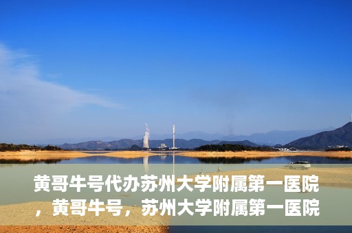 黄哥牛号代办苏州大学附属第一医院，黄哥牛号，苏州大学附属第一医院代办服务详解