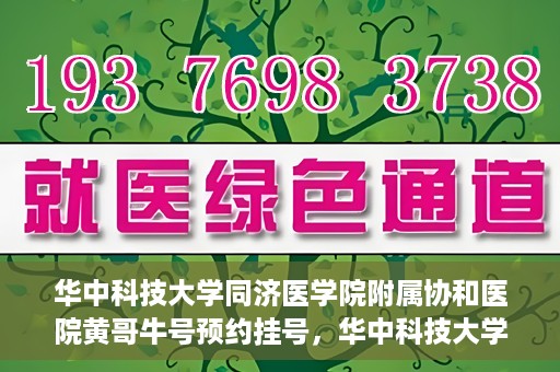 华中科技大学同济医学院附属协和医院黄哥牛号预约挂号，华中科技大学同济医学院附属协和医院黄哥牛号预约挂号攻略解析