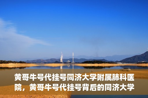 黄哥牛号代挂号同济大学附属肺科医院，黄哥牛号代挂号背后的同济大学附属肺科医院就医故事
