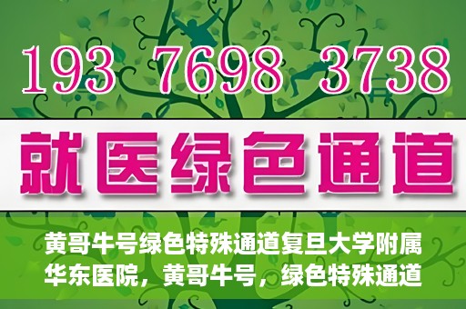 黄哥牛号绿色特殊通道复旦大学附属华东医院，黄哥牛号，绿色特殊通道揭秘，华东医院新篇章开启