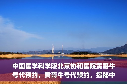 中国医学科学院北京协和医院黄哥牛号代预约，黄哥牛号代预约，揭秘中国医学科学院北京协和医院挂号秘籍