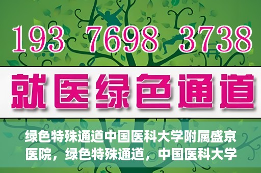 绿色特殊通道中国医科大学附属盛京医院，绿色特殊通道，中国医科大学附属盛京医院的探索与实践