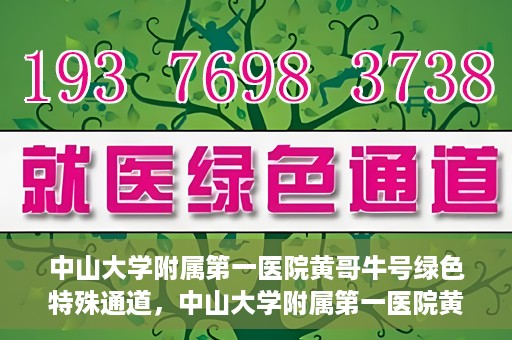 中山大学附属第一医院黄哥牛号绿色特殊通道，中山大学附属第一医院黄哥牛号，绿色特殊通道开启健康之门