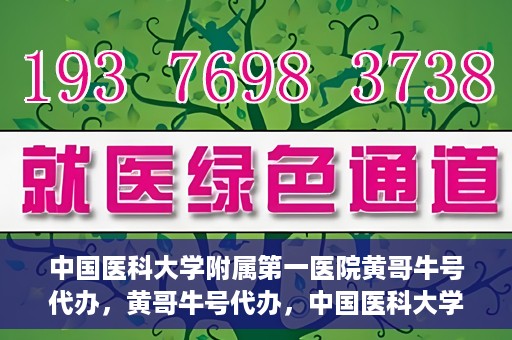 中国医科大学附属第一医院黄哥牛号代办，黄哥牛号代办，中国医科大学附属第一医院挂号服务新动向