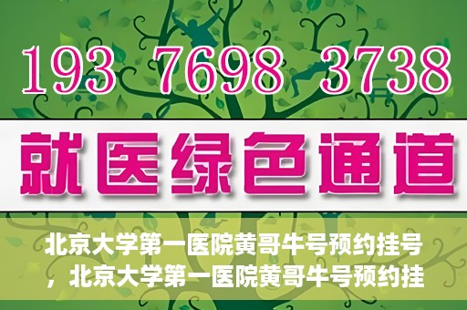 北京大学第一医院黄哥牛号预约挂号，北京大学第一医院黄哥牛号预约挂号攻略，轻松挂号，无忧就医体验