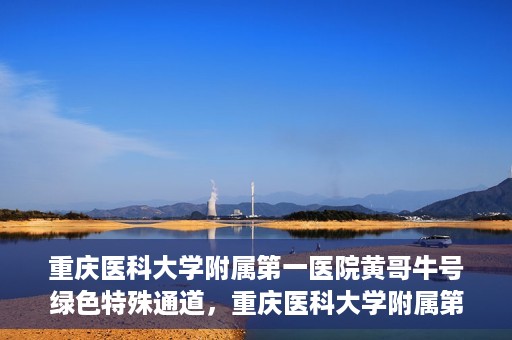 重庆医科大学附属第一医院黄哥牛号绿色特殊通道，重庆医科大学附属第一医院黄哥牛号绿色特殊通道，就医新选择