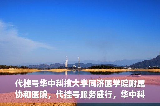 代挂号华中科技大学同济医学院附属协和医院，代挂号服务盛行，华中科技大学同济医学院附属协和医院如何应对挑战？
