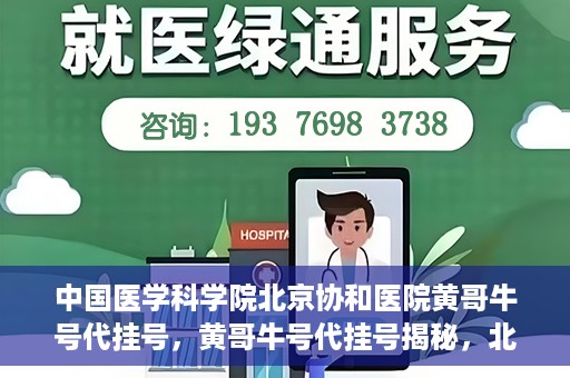 中国医学科学院北京协和医院黄哥牛号代挂号，黄哥牛号代挂号揭秘，北京协和医院挂号背后的故事