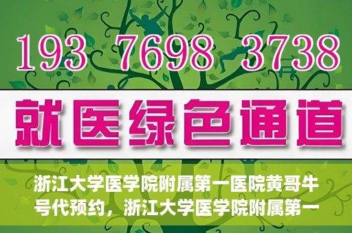 浙江大学医学院附属第一医院黄哥牛号代预约，浙江大学医学院附属第一医院黄哥牛号预约攻略揭秘