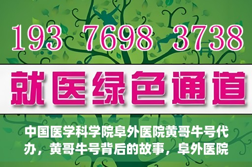 中国医学科学院阜外医院黄哥牛号代办，黄哥牛号背后的故事，阜外医院名医揭秘与医疗服务的深度解读