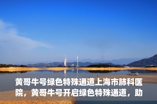 黄哥牛号绿色特殊通道上海市肺科医院，黄哥牛号开启绿色特殊通道，助力上海市肺科医院高效就医体验