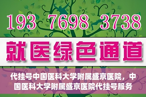 代挂号中国医科大学附属盛京医院，中国医科大学附属盛京医院代挂号服务详解