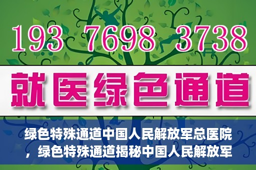 绿色特殊通道中国人民解放军总医院，绿色特殊通道揭秘中国人民解放军总医院的力量之源