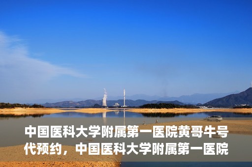 中国医科大学附属第一医院黄哥牛号代预约，中国医科大学附属第一医院黄哥牛号预约服务详解