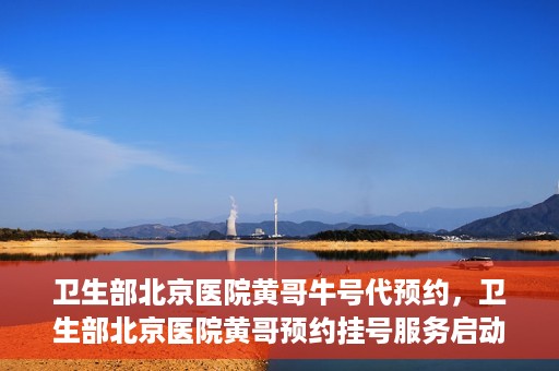 卫生部北京医院黄哥牛号代预约，卫生部北京医院黄哥预约挂号服务启动