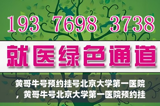 黄哥牛号预约挂号北京大学第一医院，黄哥牛号北京大学第一医院预约挂号攻略