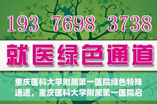 重庆医科大学附属第一医院绿色特殊通道，重庆医科大学附属第一医院启动绿色特殊通道，高效医疗服务的探索与实践