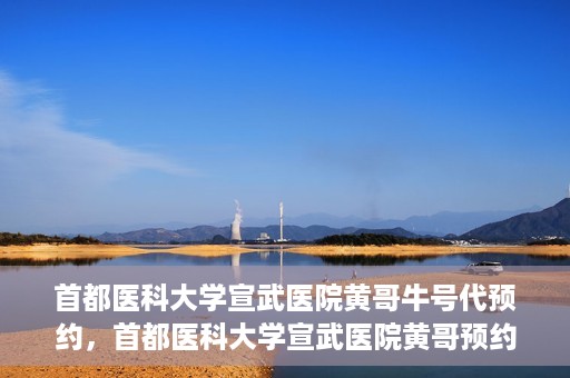 首都医科大学宣武医院黄哥牛号代预约，首都医科大学宣武医院黄哥预约代挂号服务解析