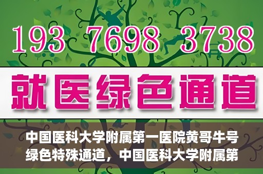 中国医科大学附属第一医院黄哥牛号绿色特殊通道，中国医科大学附属第一医院黄哥牛号，绿色特殊通道的开启与探索