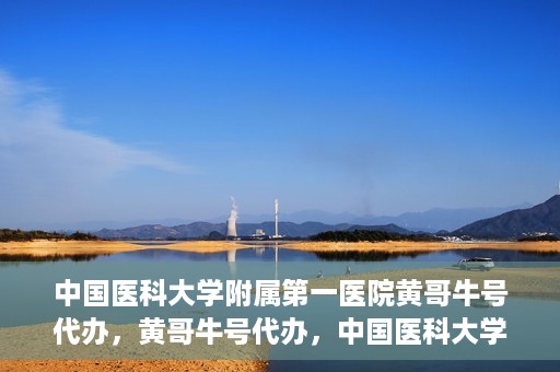中国医科大学附属第一医院黄哥牛号代办，黄哥牛号代办，中国医科大学附属第一医院挂号服务新动向