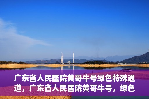 广东省人民医院黄哥牛号绿色特殊通道，广东省人民医院黄哥牛号，绿色特殊通道开启健康之门