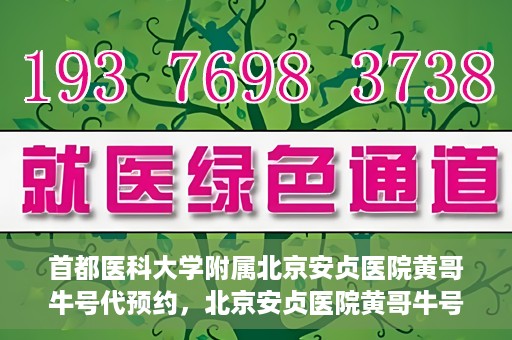 首都医科大学附属北京安贞医院黄哥牛号代预约，北京安贞医院黄哥牛号预约服务解析